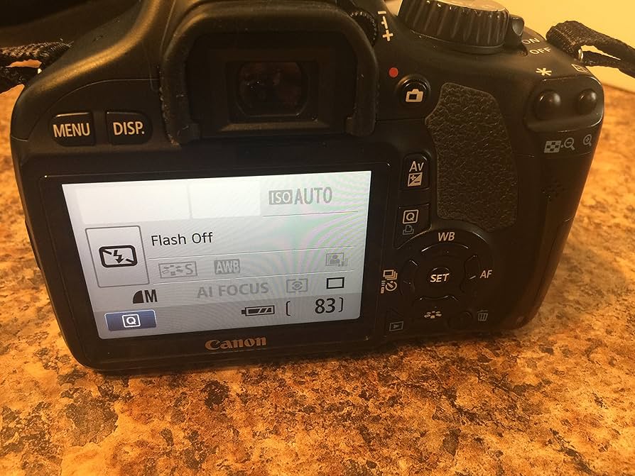Amazon.com : Canon EOS Rebel T2i 18 MP CMOS APS-C Digital